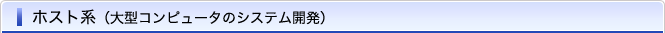 ホスト系（大型コンピュータのシステム開発）
