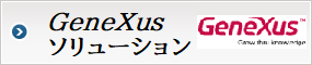 「GeneXus」の詳細へ