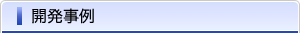 開発事例